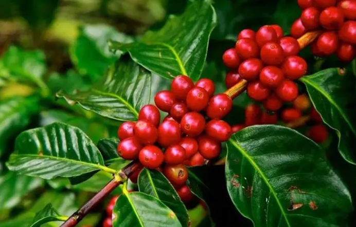 20231225144047 20231225144047