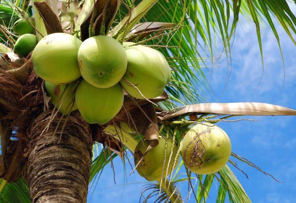 20240105140812 20240105140812