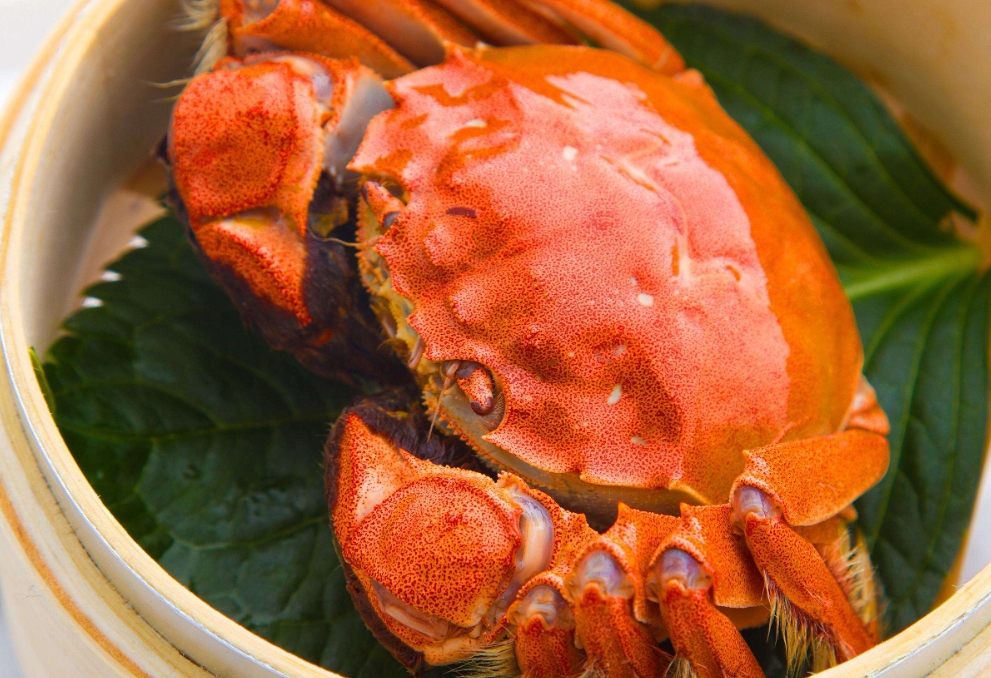 20240124161741 20240124161741