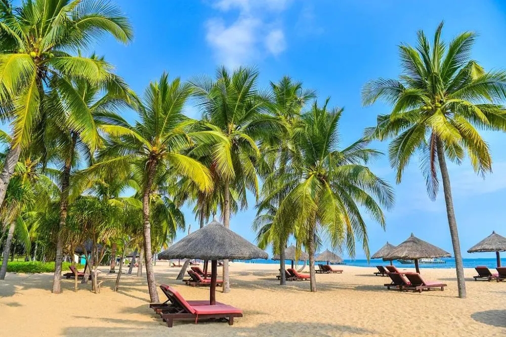 20240126103640 20240126103640