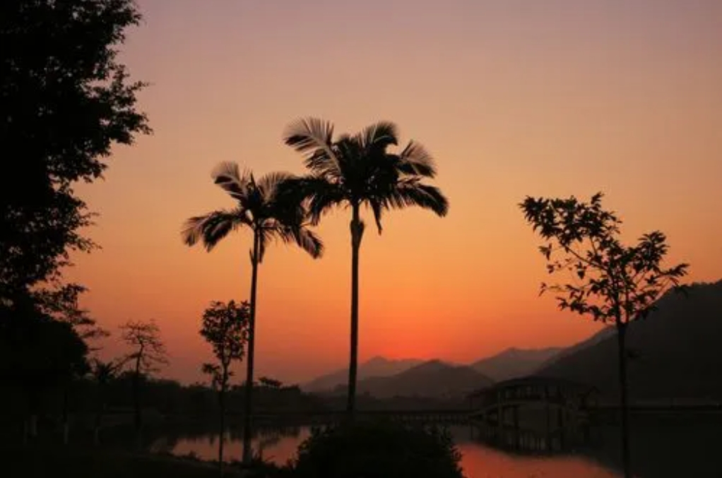 20240131151849 20240131151849