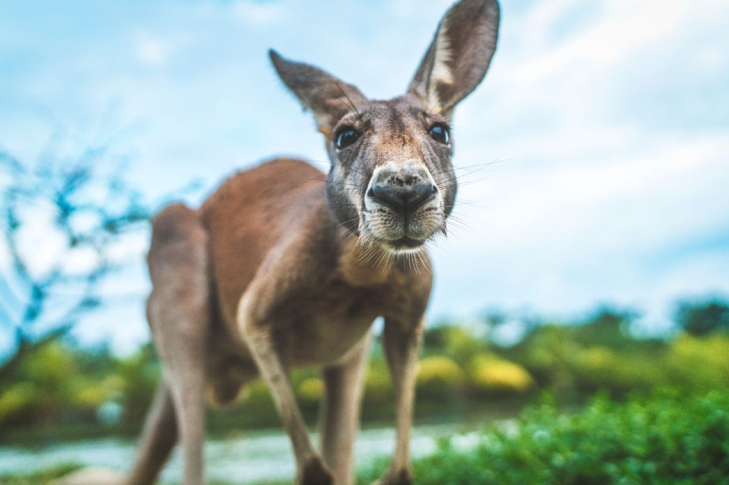 20240225144517 20240225144517