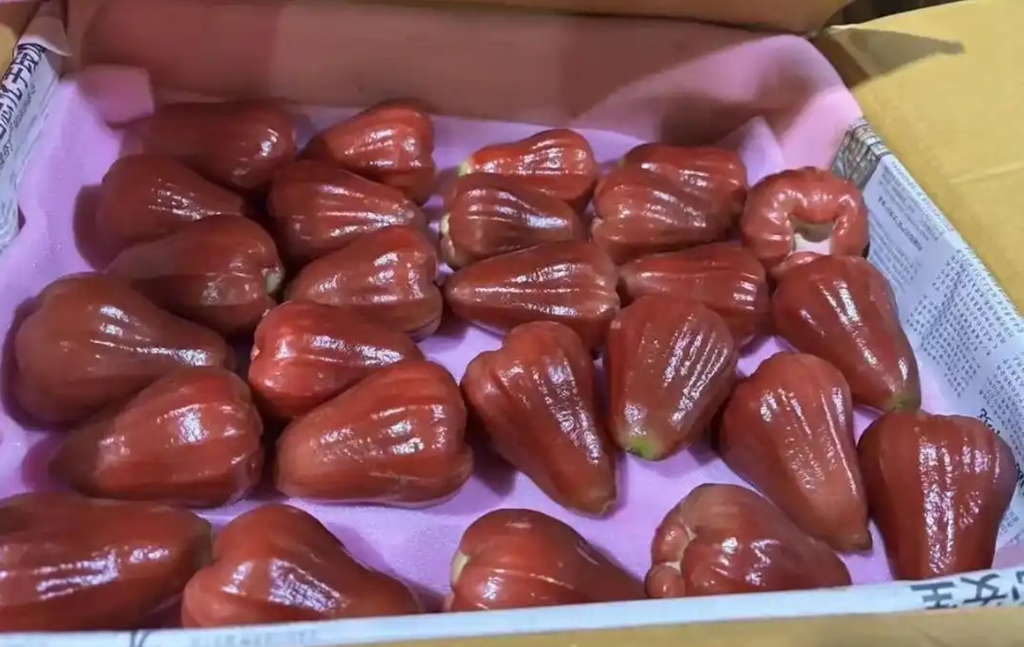 20241104150053 20241104150053