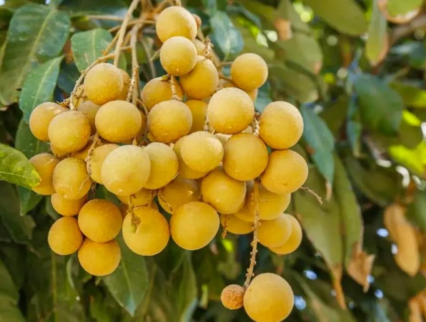 20241105162326 20241105162326