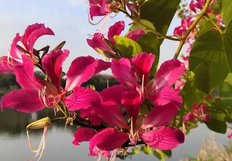 20241106142852 20241106142852