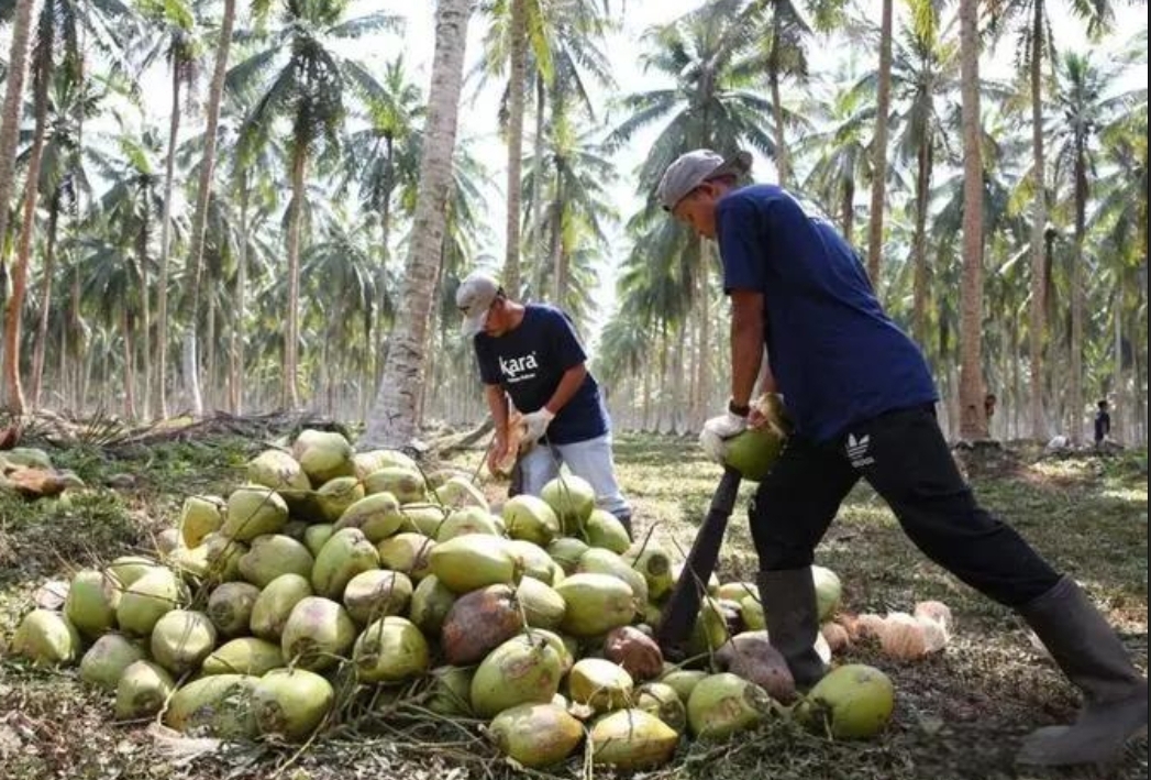 20241106151411 20241106151411