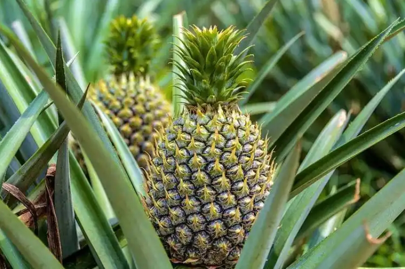 20241108164542 20241108164542