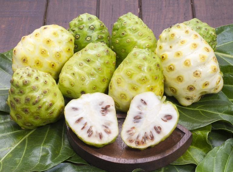 20241111152633 20241111152633