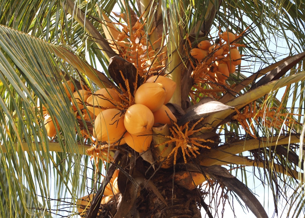 20250310153829 20250310153829