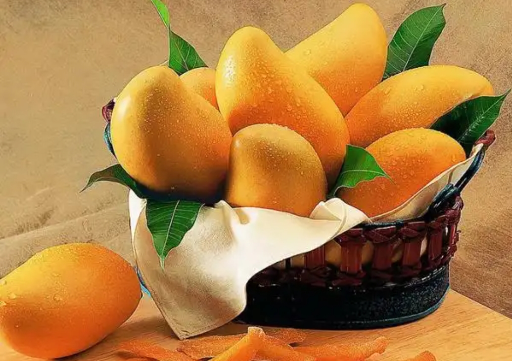 20250310162437 20250310162437