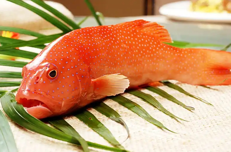 20250314161120 20250314161120