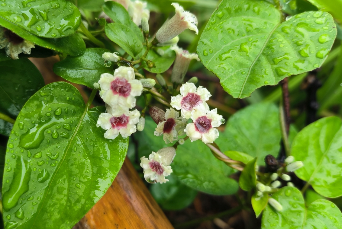 20250403164030 20250403164030