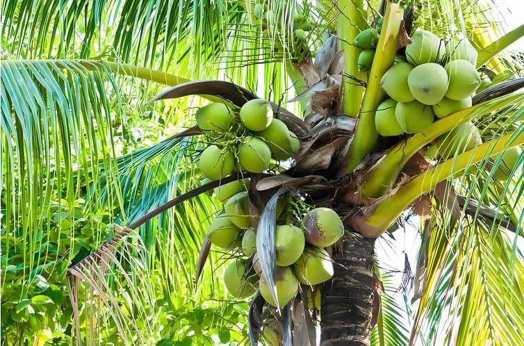 20250612145457 20250612145457