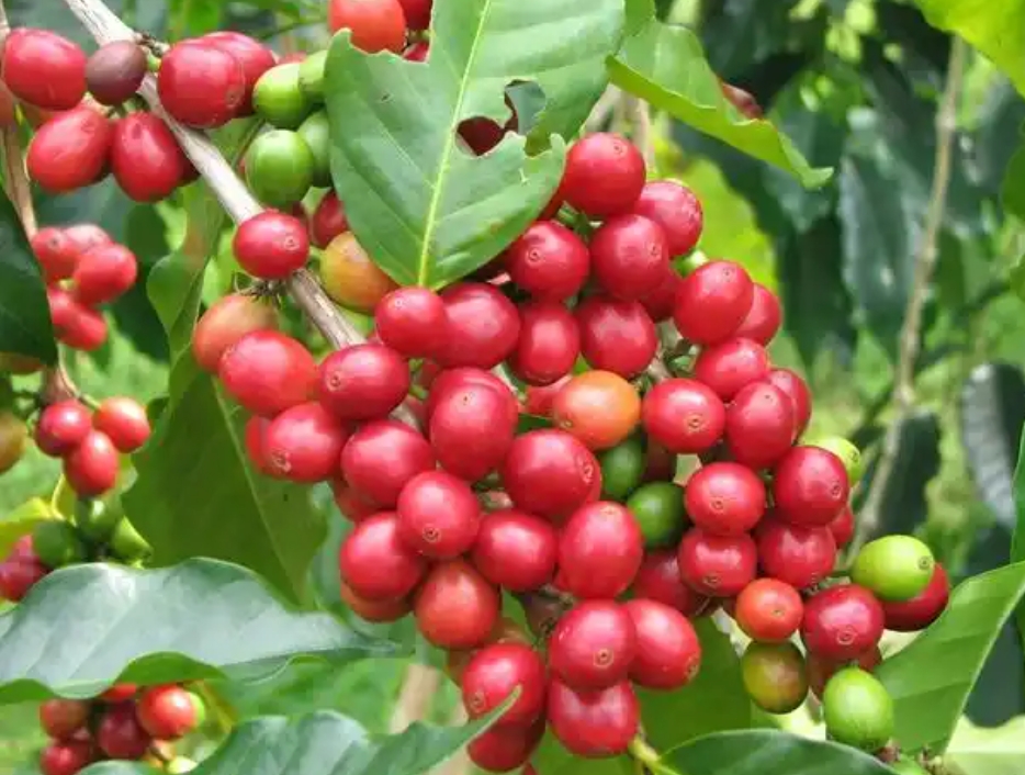 20250714162934 20250714162934