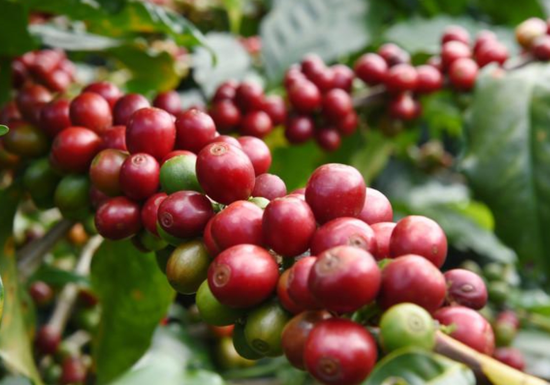 20250716160231 20250716160231