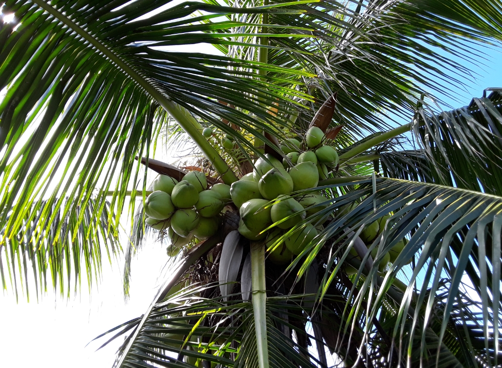 20250717165856 20250717165856