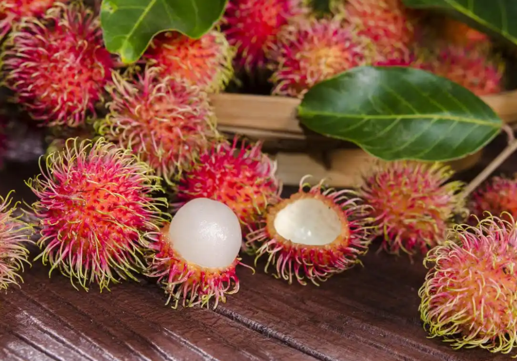 20251011161305 20251011161305