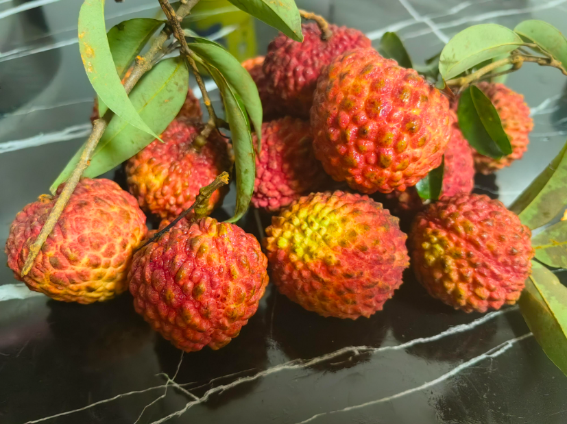 20251016165242 20251016165242