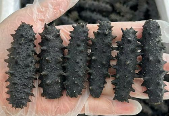 1697439314644201.png ΢ÐŽØÍ¼_20230920145335.png