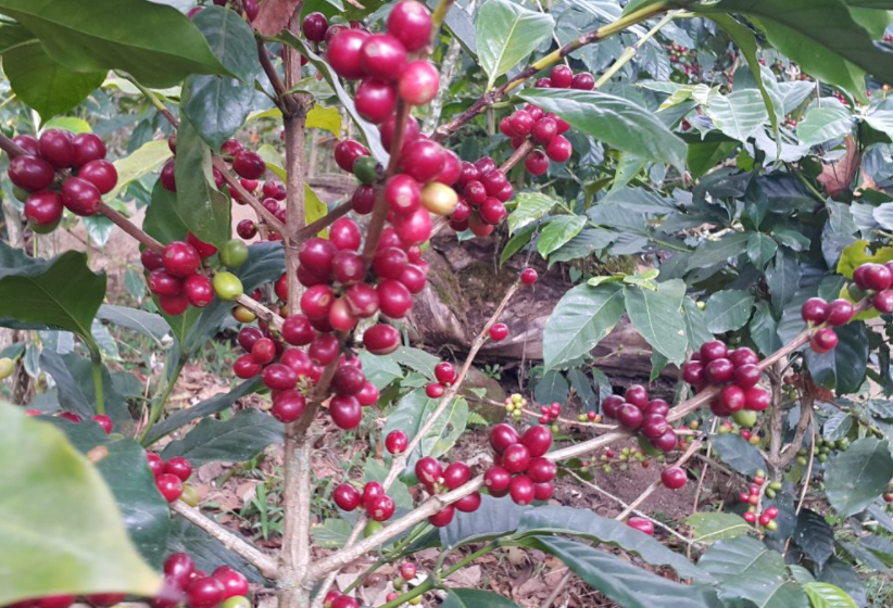 1697441761137627.png ΢ÐŽØÍ¼_20230920153307.png