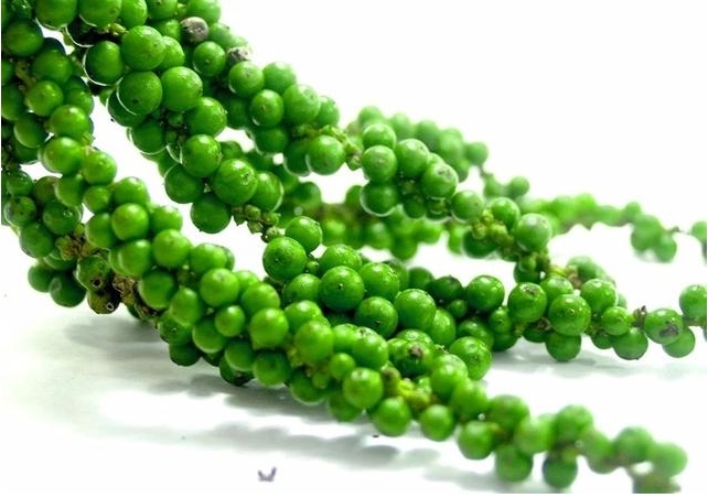 1717576128815465.png ΢ÐŽØÍ¼_20240605153308.png