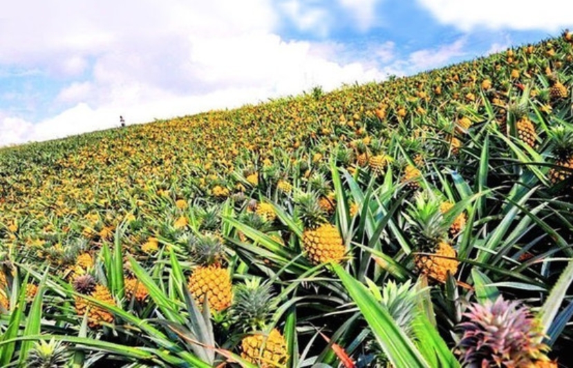 1728974103482043.png ΢ÐŽØÍ¼_20241015093358.png