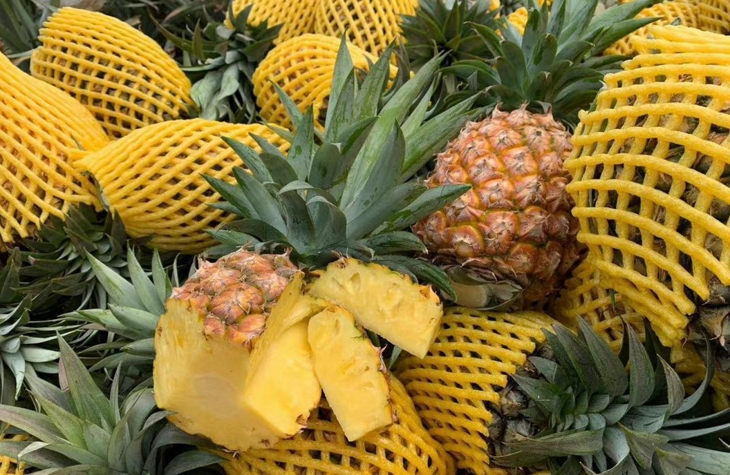 1728974117704997.png ΢ÐŽØÍ¼_20241015093336.png