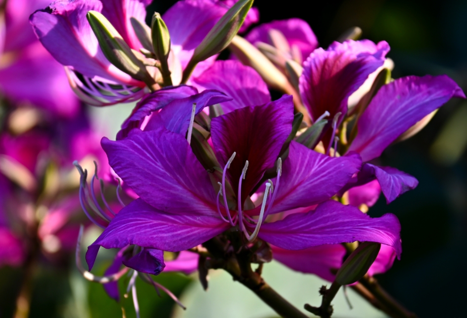 1730874536743509.png ΢ÐŽØÍ¼_20241105104921.png