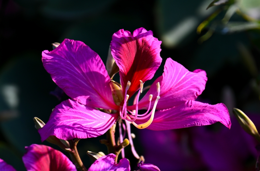 1730874551763893.png ΢ÐŽØÍ¼_20241105105139.png