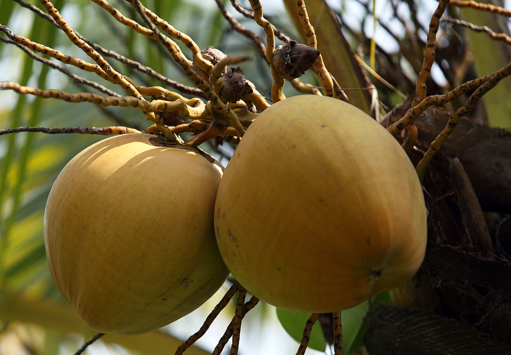 1735538994516805.png ΢ÐŽØÍ¼_20241230110957.png