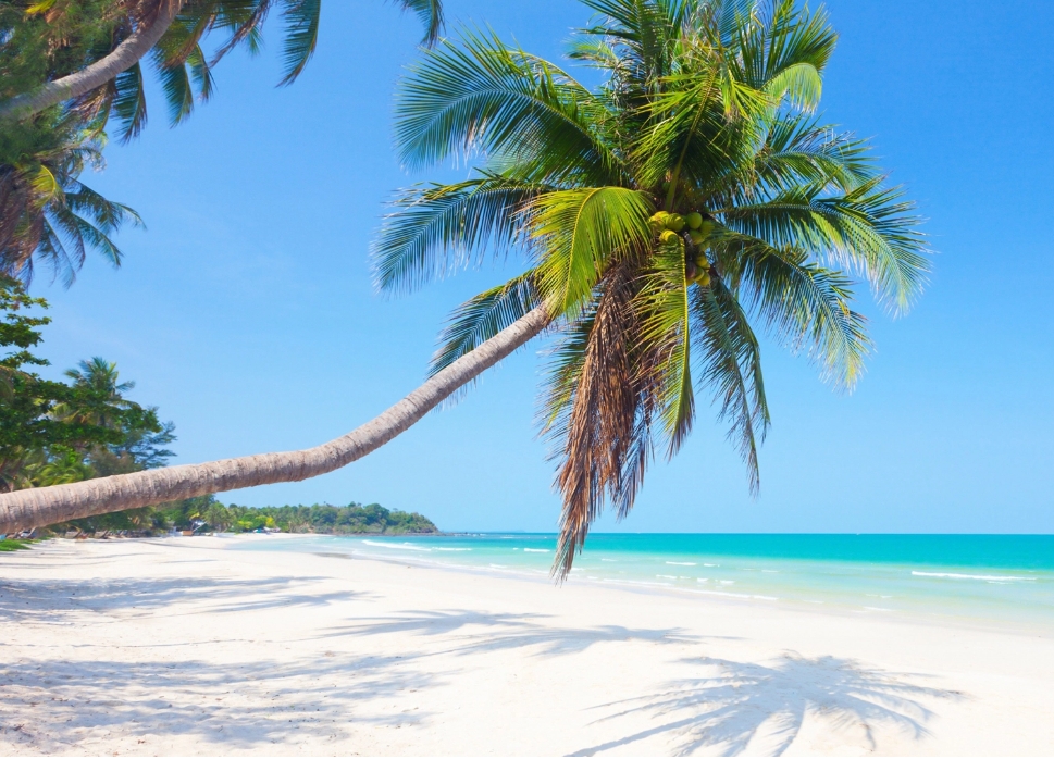 1736840791177030.png ΢ÐŽØÍ¼_20250113112430.png