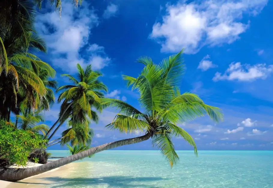 1736924310164117.png ΢ÐŽØÍ¼_20250114110508.png