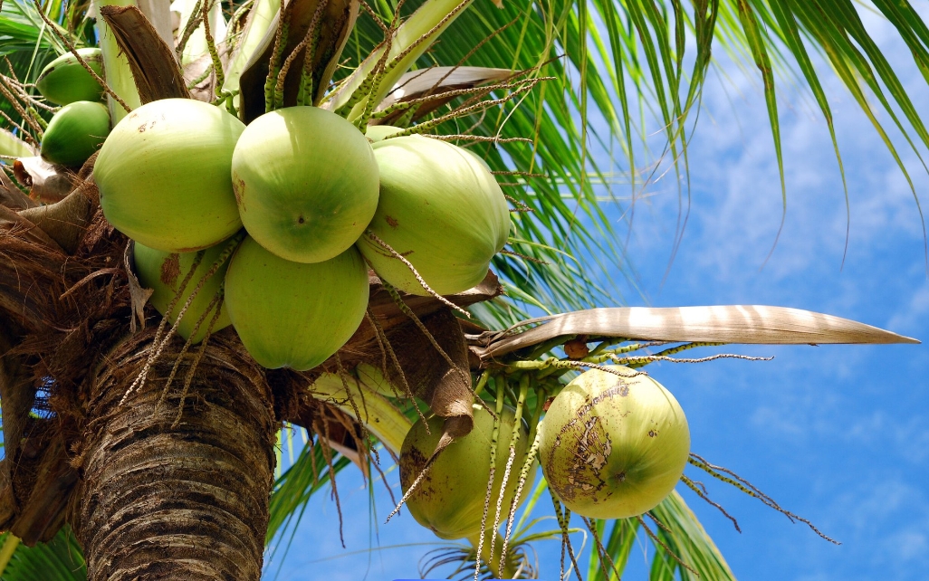 1736924321795213.png ΢ÐŽØÍ¼_20250114110831.png