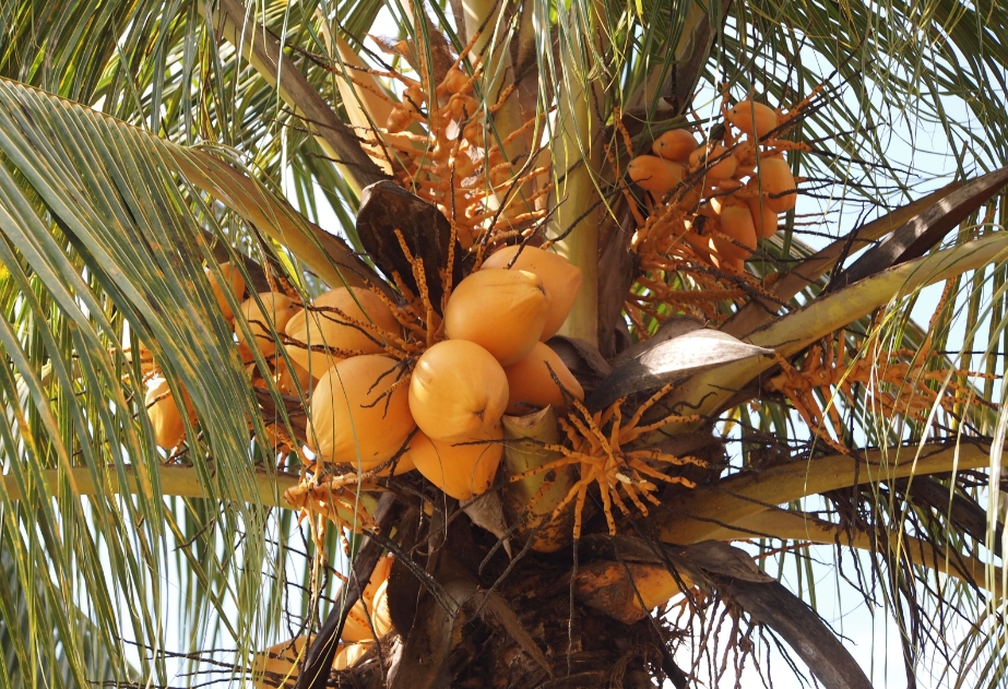 1743490957947207.png ΢ÐŽØÍ¼_20250401135416.png