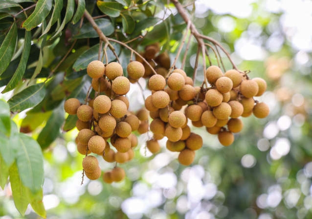 1743583917932763.png ΢ÐŽØÍ¼_20250402160848.png