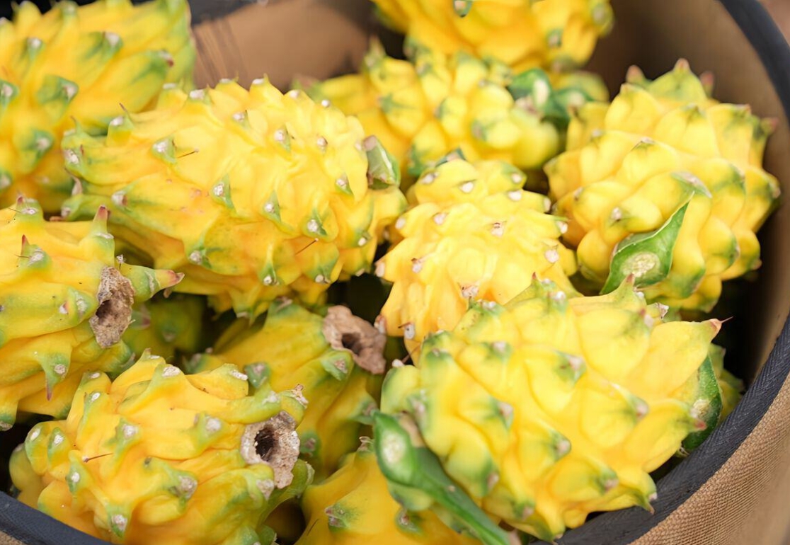 1743584852745755.png ΢ÐŽØÍ¼_20250402162555.png