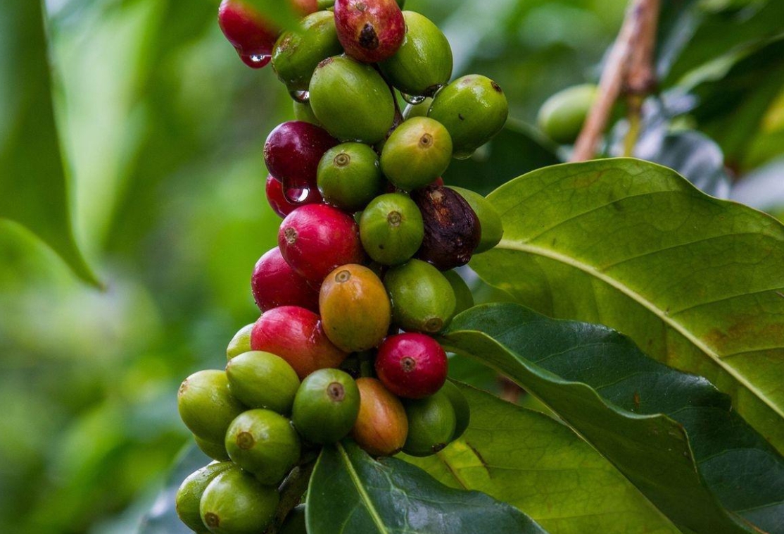 1744014069367711.png ΢ÐŽØÍ¼_20250407153934.png