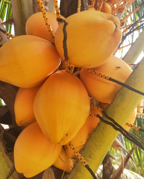 1745393538457577.png ΢ÐŽØÍ¼_20250423110515.png