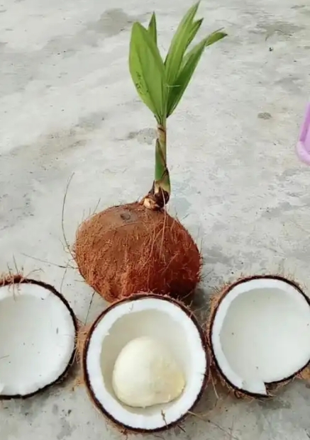 1745393550132694.png ΢ÐŽØÍ¼_20250423110441.png