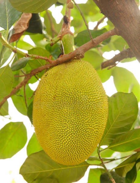 1746000396946302.png ΢ÐŽØÍ¼_20250430142416.png