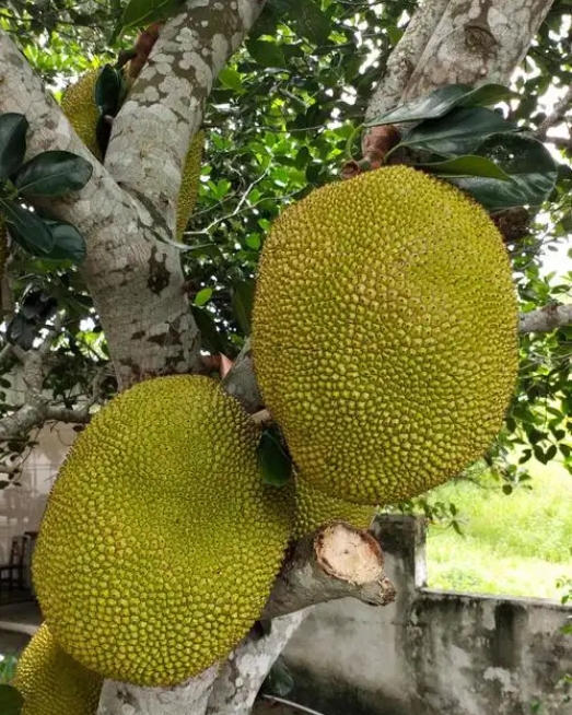 1746000405255026.png ΢ÐŽØÍ¼_20250430142442.png