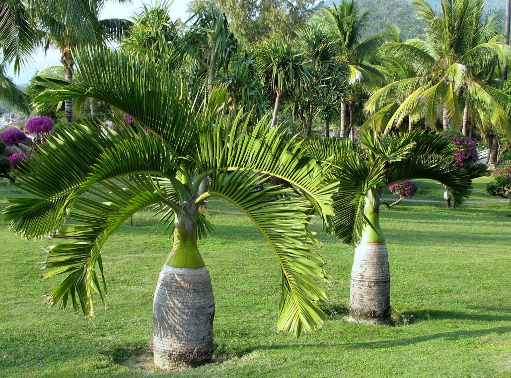 1747642066537912.png ΢ÐŽØÍ¼_20250519143944.png