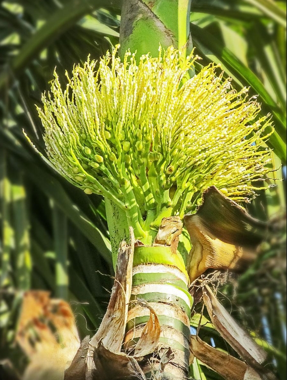 1748590772380924.png ΢ÐŽØÍ¼_20250529152222.png