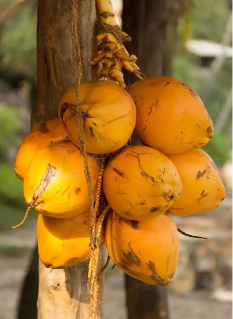 1748939145910702.png ΢ÐŽØÍ¼_20250603144726.png