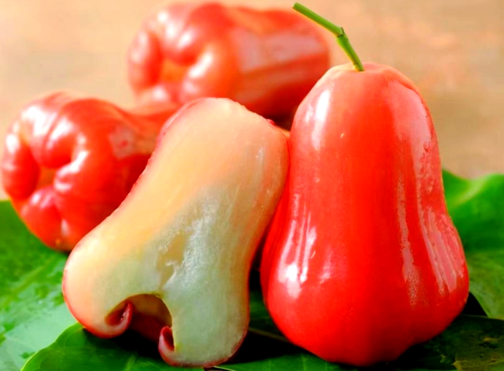 1750410203488036.png ΢ÐŽØÍ¼_20250620163959.png