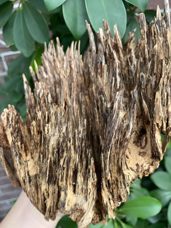 1751445389696635.png ΢ÐŽØÍ¼_20250702151333.png