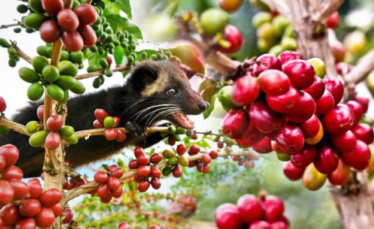 1751877204433485.png ΢ÐŽØÍ¼_20250707153146.png