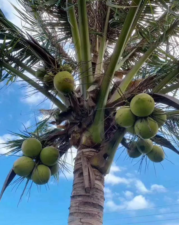 1756109618380406.png wechat_2025-08-19_153903_812.png