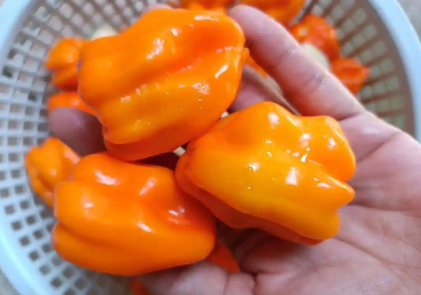 1758266168767472.png wechat_2025-09-16_160203_051.png