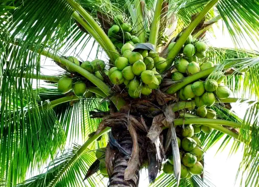 1759136624258067.png wechat_2025-09-28_145549_505.png